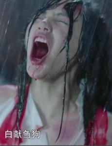 扶摇“正堂上座，家翁好酒，白献刍狗”是什么意思？李家新妇高喊这句话的寓意？