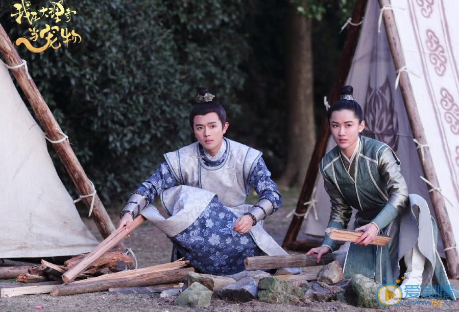 我在大理寺当宠物剧情介绍(1-22集大结局)