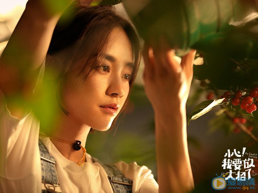 小心！我要放大招了剧情介绍(1-12集大结局)