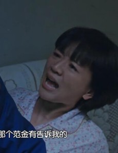 正阳门下小女人谁把徐静理的身世说出来的？贺小夏还是范金有？