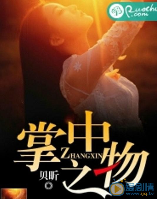 掌中之物海报