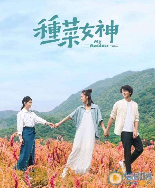 种菜女神海报