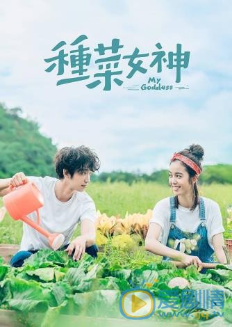 种菜女神海报