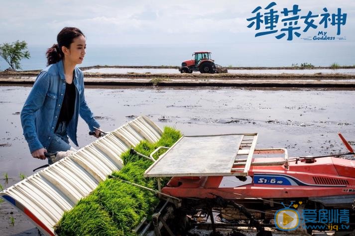 种菜女神什么时候播 种菜女神播出时间