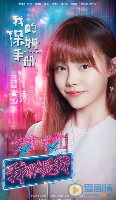 我的保姆手册海报