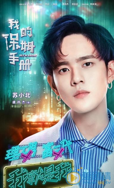 我的保姆手册海报