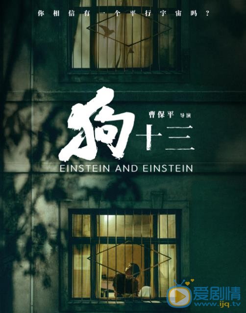 狗十三海报