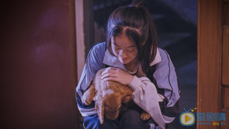 狗十三剧照