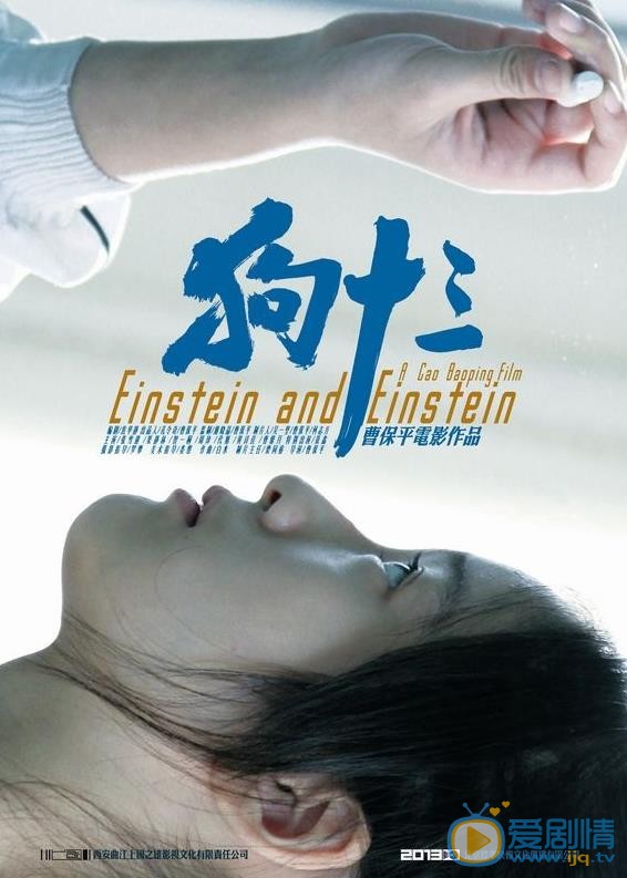 狗十三海报