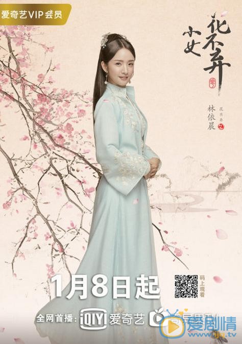 小女花不弃海报
