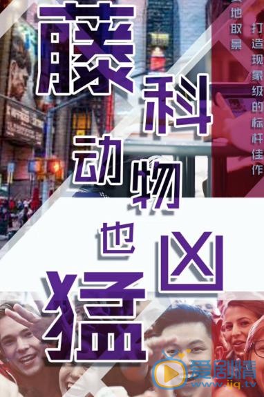 藤科动物也凶猛海报