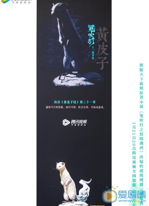 鬼吹灯之怒晴湘西中有哪“十二怪”？盘点鬼吹灯出现的十二怪都是什么？