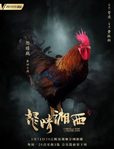 鬼吹灯之怒晴湘西中“怒晴鸡”是什么？怒晴鸡现实中存在吗？