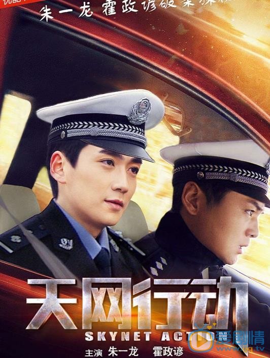 天网行动海报
