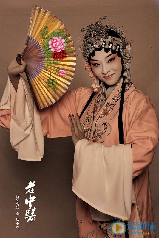老中医里岳小婉喜欢谁？
