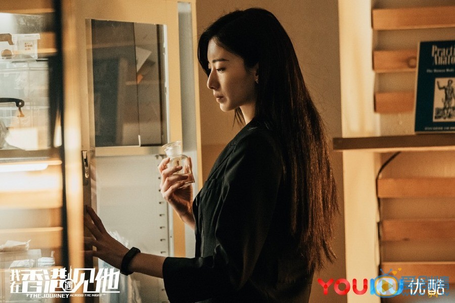 我在香港遇见他剧情介绍(1-26集大结局)