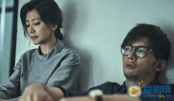我们与恶的距离主要讲述的是什么？