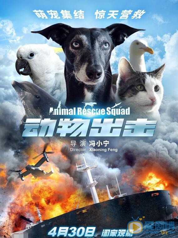 动物出击海报