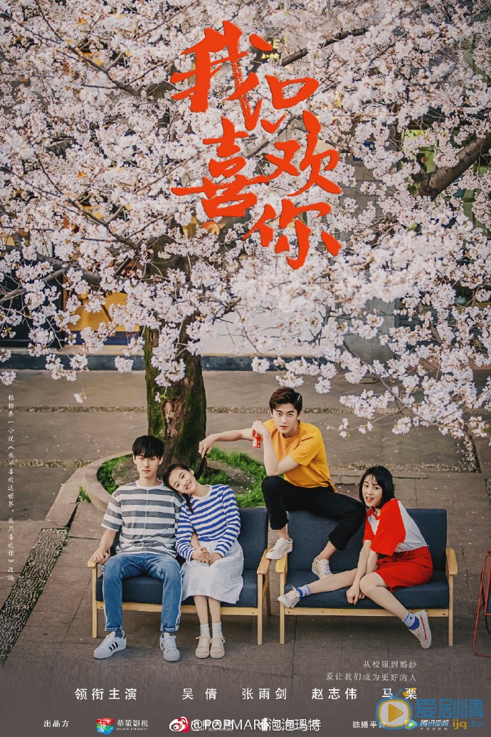 我只喜欢你海报