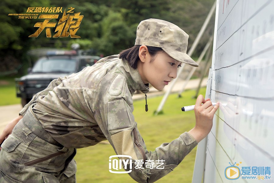 反恐特战队之天狼剧情介绍(1-48集大结局)