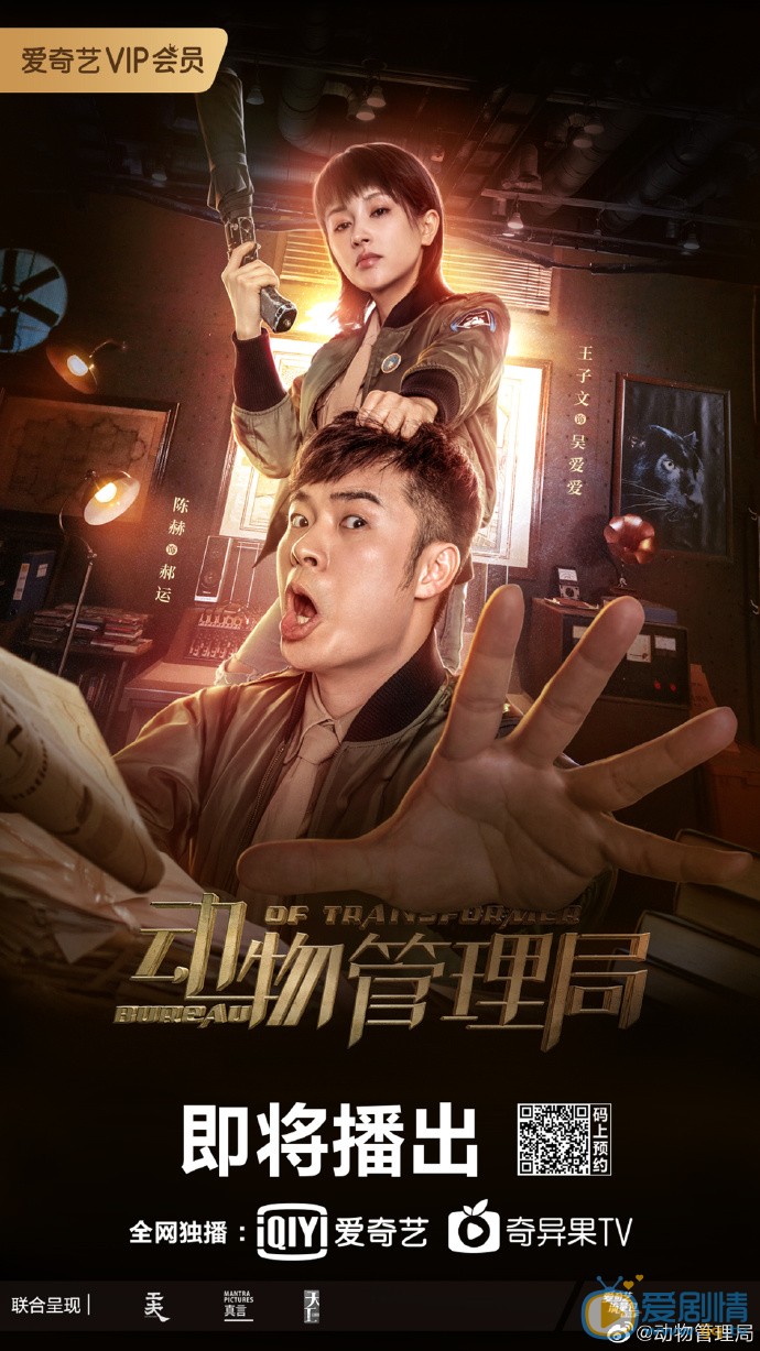 动物管理局海报