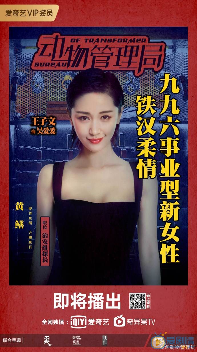 动物管理局海报