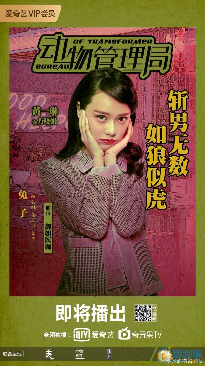 动物管理局海报