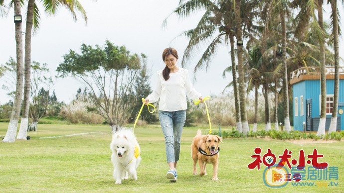 神犬小七3剧照