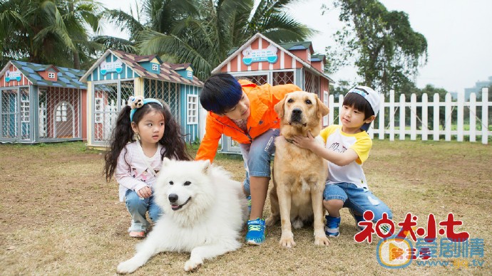 神犬小七3剧照