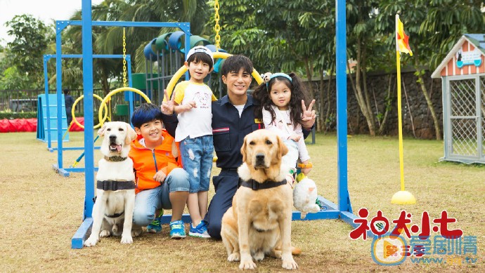 神犬小七3剧照