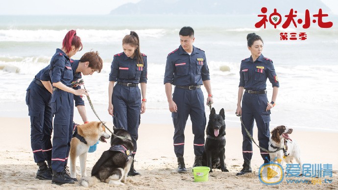 神犬小七3剧照