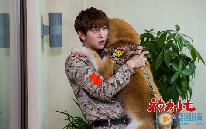 神犬小七3剧照