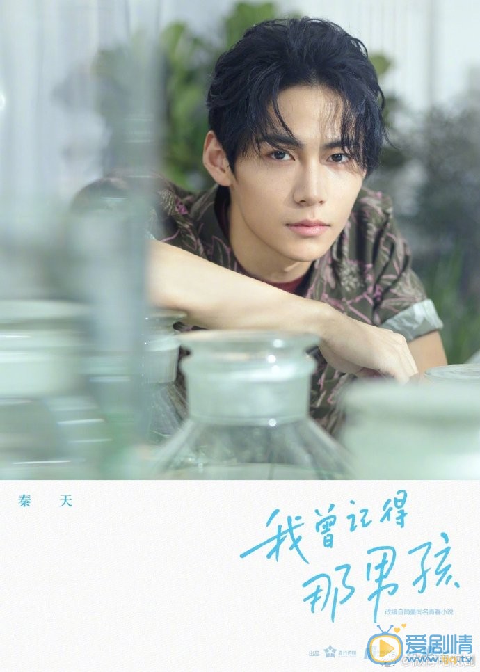 我曾记得那男孩剧情介绍(1-24集大结局)