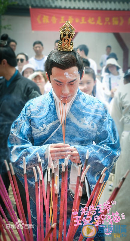 报告王爷王妃是只猫发布会