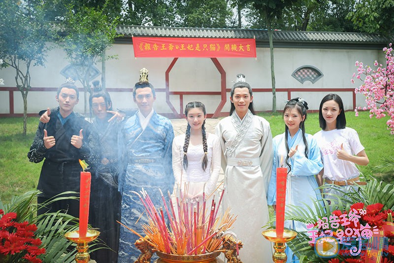 报告王爷王妃是只猫剧情介绍