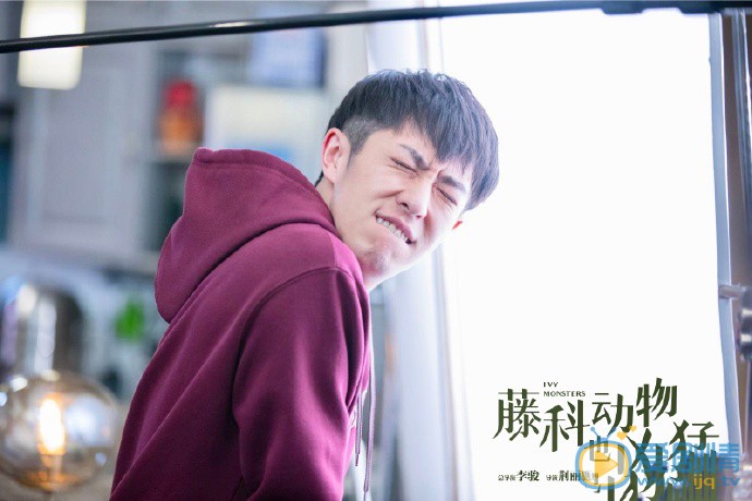 藤科动物也凶猛剧照