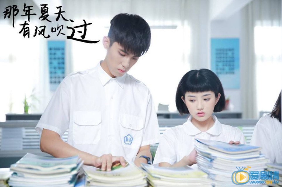 那年夏天有风吹过剧照