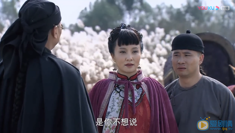 河洛康家剧情介绍(1-32集大结局)