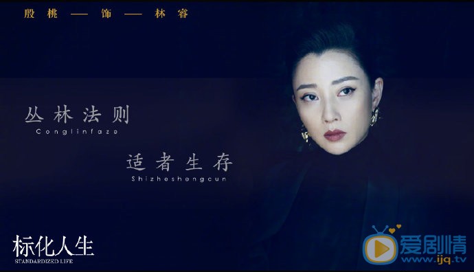正青春剧情介绍(1-47集大结局)