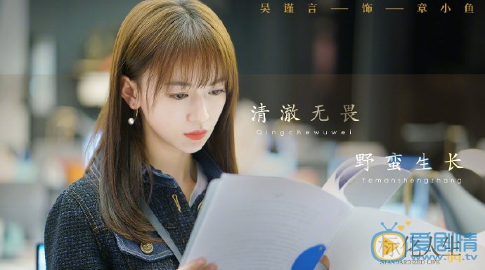 正青春剧情介绍(1-47集大结局)