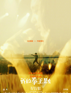 我的拳王男友