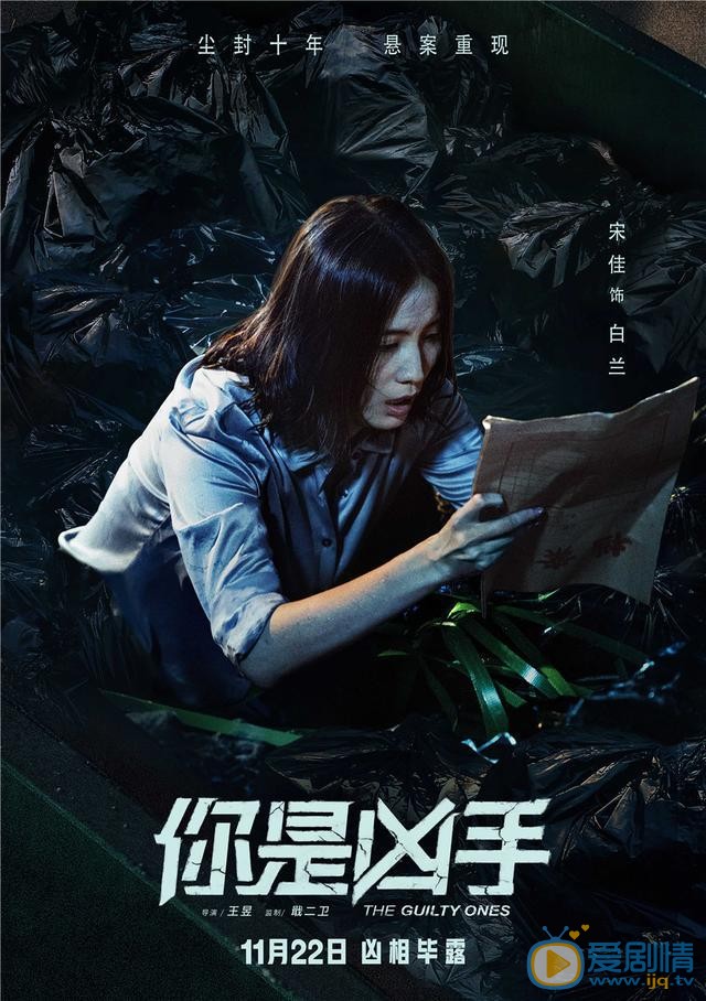 你是凶手剧照