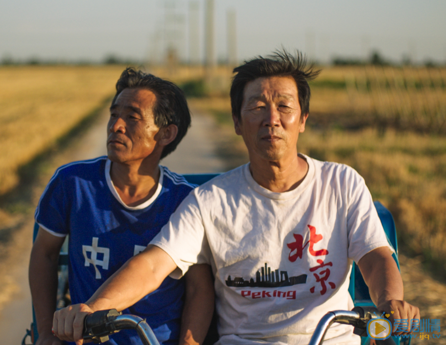 平原上的夏洛克剧照