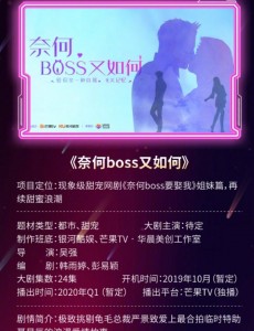 奈何boss又如何