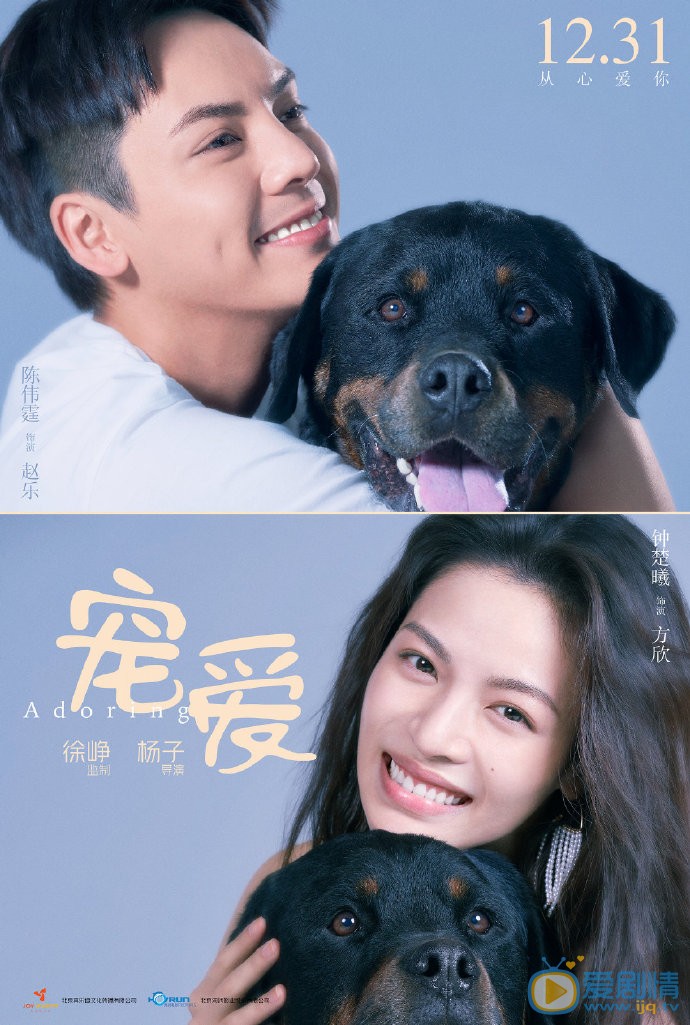 宠爱电影什么时候上映？宠爱讲述了什么剧情？