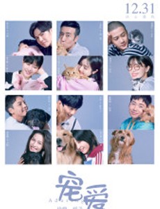 宠爱电影什么时候上映？宠爱讲述了什么剧情？