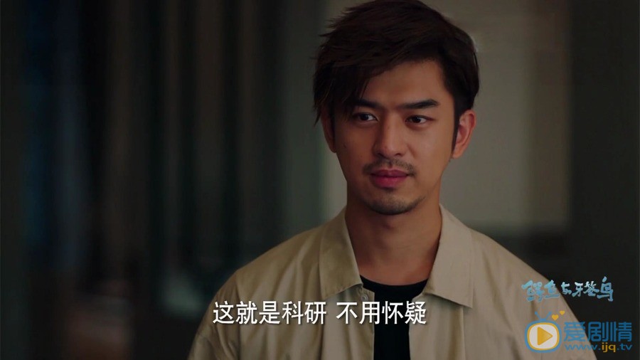 鳄鱼与牙签鸟剧照