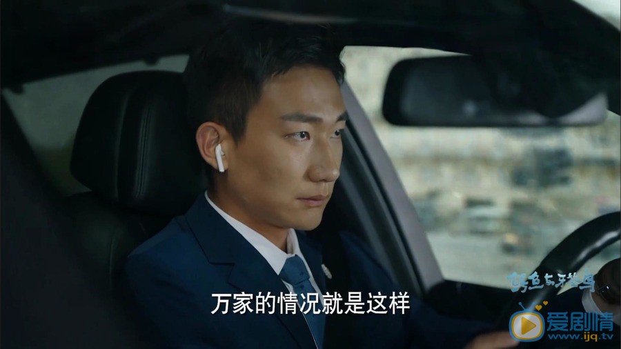 鳄鱼与牙签鸟剧照