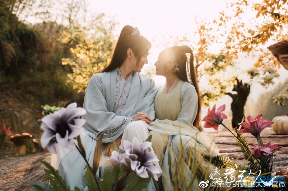 亲爱的药王大人剧情介绍