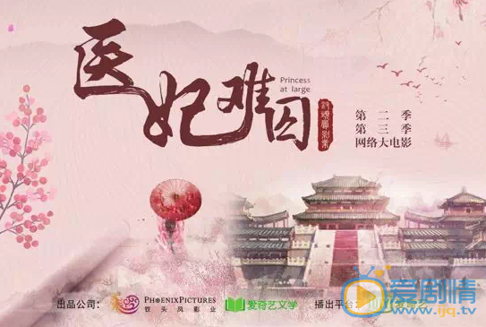 医妃难囚2海报
